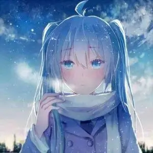 会员用户案卷整理员头像